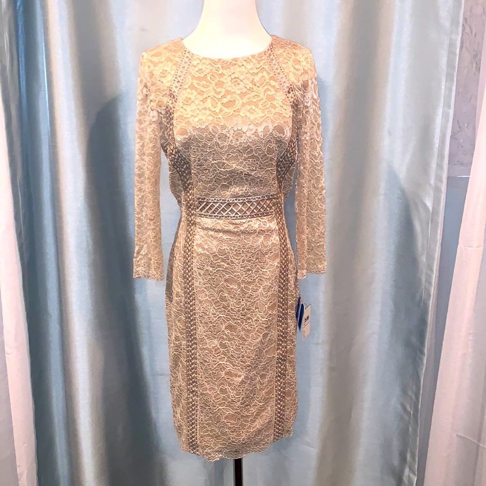 Antonio Melani Greenwich Lace Long Sleeve Dress